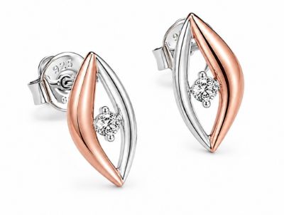 Picture of 0.14ct LGD,E/R, STUDS, RGP