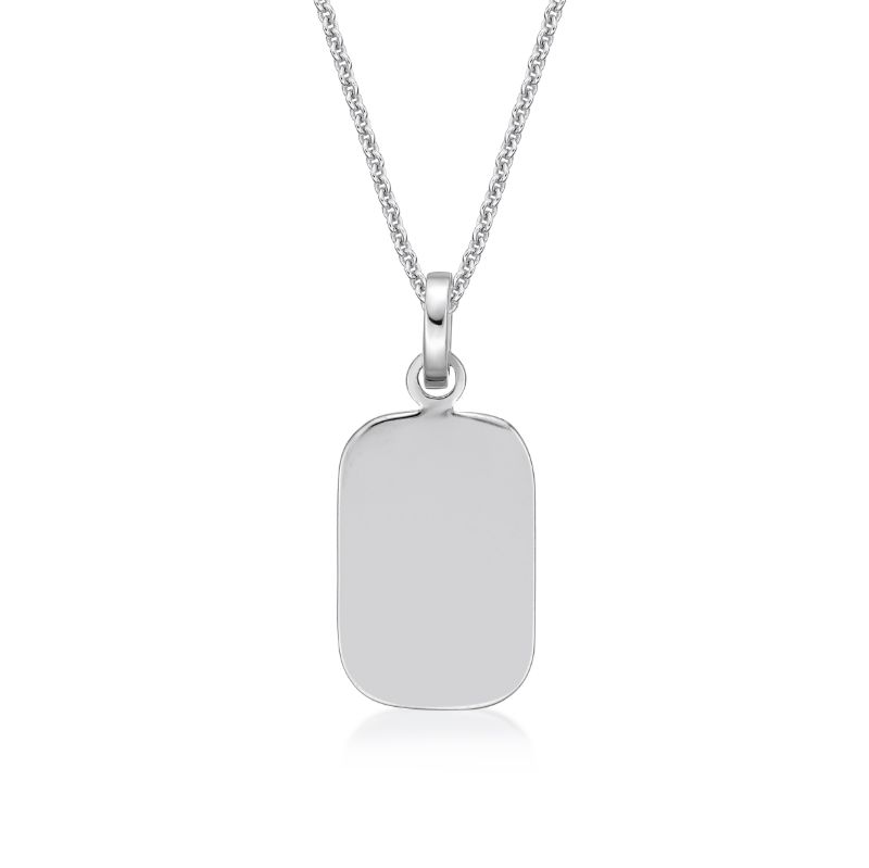 Picture of ~15x10 DOG TAG with chain