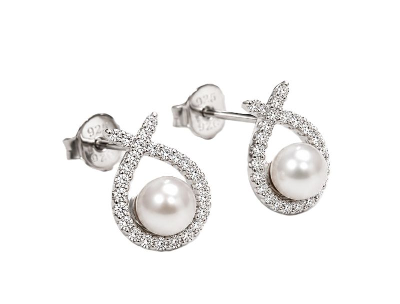Picture of FW & CZ, STUDS