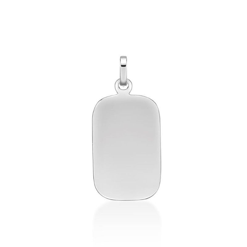 Picture of ~20x13 DOG TAG