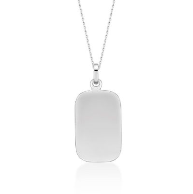 Picture of ~20x13 DOG TAG with chain